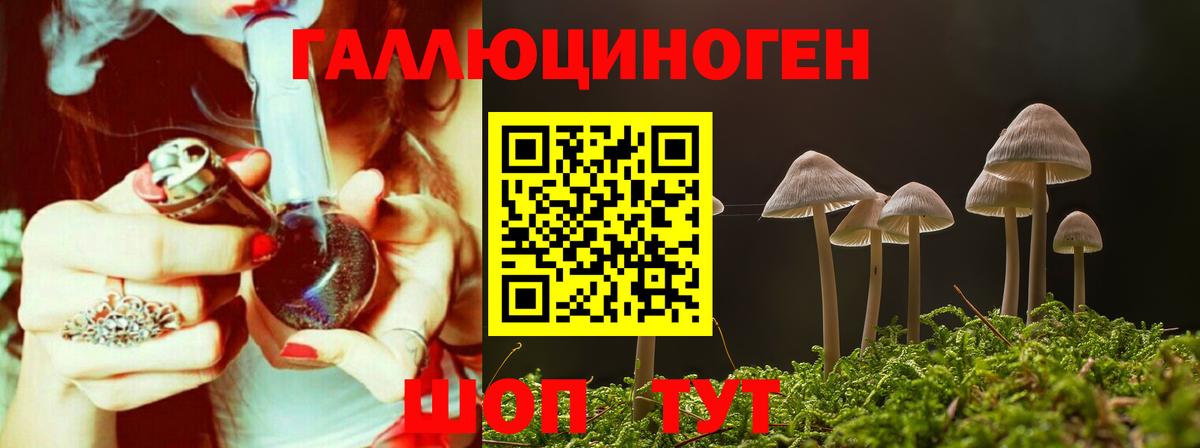 Галлюциногенные грибы ЛСД Торжок