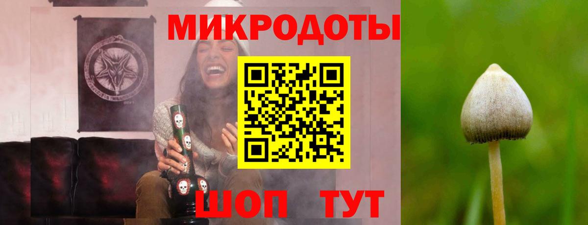 Галлюциногенные грибы MAGIC MUSHROOMS  Вход с VPN  Торжок 